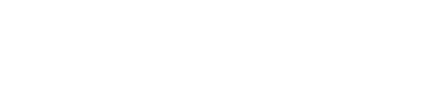 Camopay Logo